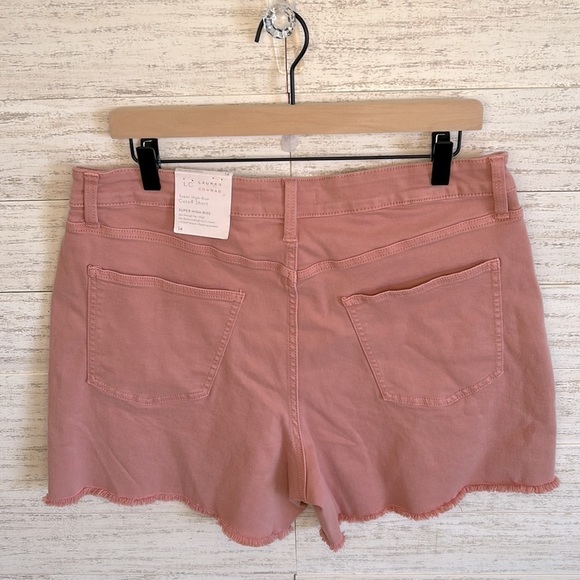LC Lauren Conrad Distressed Shorts | SIZE 14 - Picture 2 of 7
